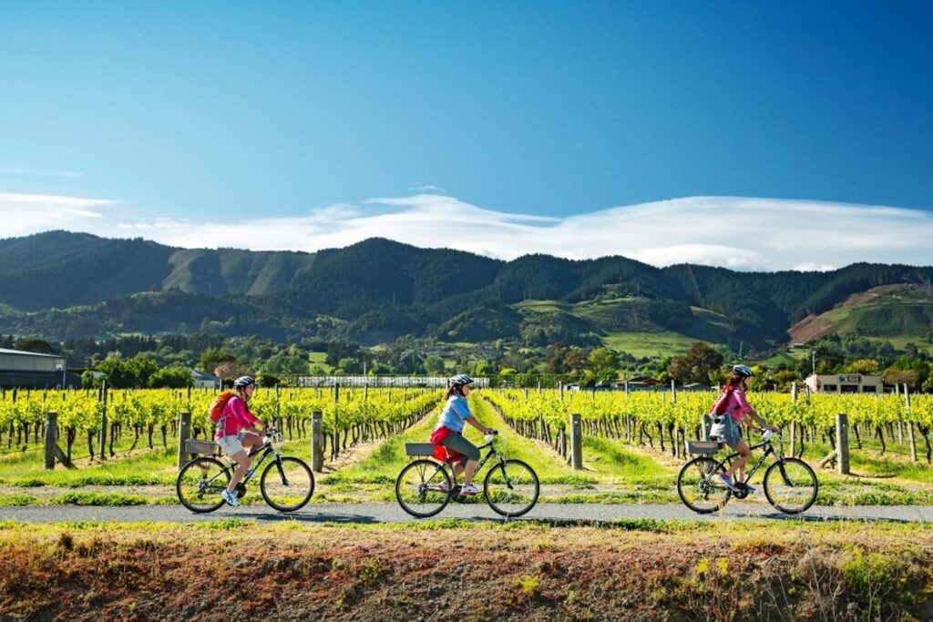 3 people biking by vineyard with mountains in the background